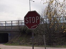 Content image