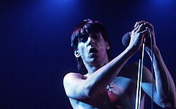 Iggy Pop ตำนาน 'Godfather of Punk' ผู้พลิกโฉมหน้าประวัติศาสตร์ดนตรีร็อก