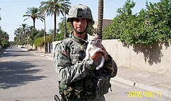 Tom Cotton นักการเมืองสายเหยี่ยวและอดีตนายทหารผู้ทรงอิทธิพลแห่งรัฐอาร์คันซอ