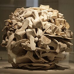 Andy Goldsworthy ศิลปินผู้รังสรรค์ศิลปะจากธรรมชาติและกาลเวลา