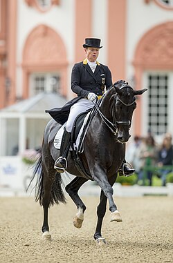 Isabell Werth ตำนานนักขี่ม้า Dressage ผู้สร้างประวัติศาสตร์เหรียญทองโอลิมปิก