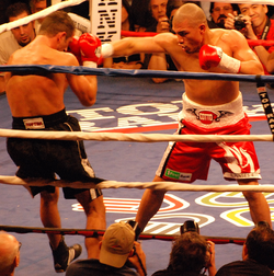 Miguel Cotto ตำนานแชมป์โลก 4 รุ่นชาวเปอร์โตริโก