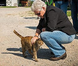 Gina McCarthy ผู้นำหญิงผู้ขับเคลื่อนนโยบายสภาพภูมิอากาศระดับโลก