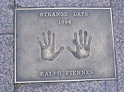 Ralph Fiennes นักแสดงผู้เปี่ยมพรสวรรค์จากเวทีละครสู่ไอคอนระดับโลก