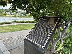 Joni Mitchell ศิลปินผู้พลิกโฉมหน้าดนตรีโฟล์กและแจ๊สระดับตำนาน