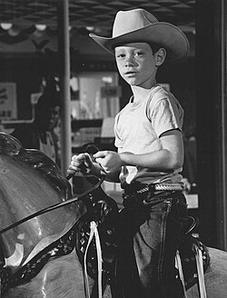 Bill Mumy จากดาราเด็กใน Lost in Space สู่ศิลปินผู้มากความสามารถ