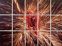 Mat Collishaw ศิลปินร่วมสมัยผู้ท้าทายจินตนาการผ่านภาพถ่ายและวิดีโอ