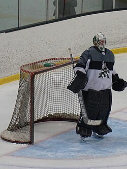 David Ayres จากคนขับรถขัดน้ำแข็งสู่ฮีโร่ผู้สร้างประวัติศาสตร์ใน NHL