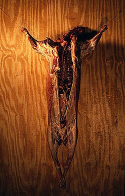 John LeKay ศิลปินคอนเซปต์ชวลผู้ท้าทายขอบเขตของความงามและความสยดสยอง